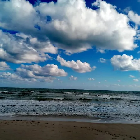 Esperanza Torrevieja